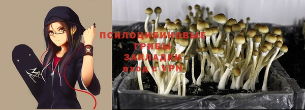 таблы Горняк