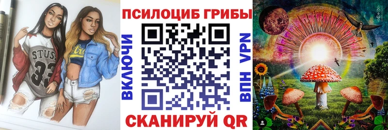 Галлюциногенные грибы мицелий  нарко площадка какой сайт  Дмитровск 